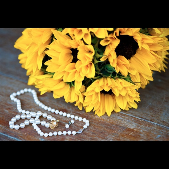 Meet your Posher, Maria - Picture 3 of 8